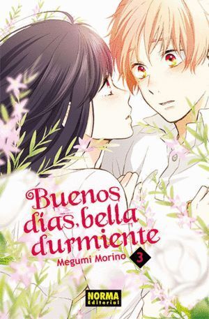 BUENOS DIAS BELLA DURMIENTE 3