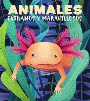 ANIMALES EXTRAÑOS Y MARAVILLOSOS VVKIDS