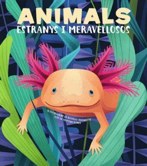 ANIMALS EXTRANYS I MERAVELLOSOS VVKIDS CAT