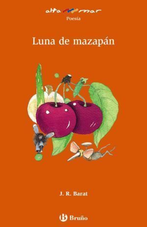 LUNA DE MAZAPAN