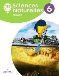 SCIENCES NATURELLES 6ºEP ELEVE ANDALUCIA 19