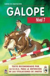 GALOPES NIVELES 7 CURSO EQUITACION