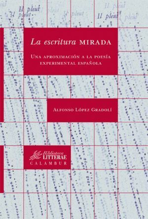 ESCRITURA MIRADA,LA