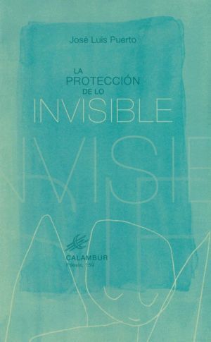 PROTECCION DE LO INVISIBLE