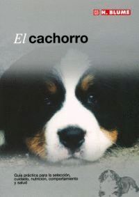 CACHORRO,EL