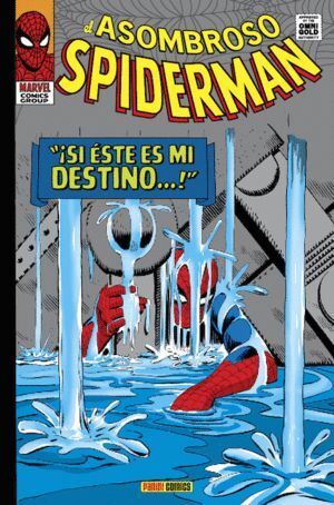 ASOMBROSO SPIDERMAN¡SI ESTE ES MI DESTINO