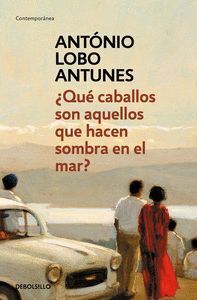 QUE CABALLOS SON AQUELLOS QUE HACEN SOMBRA EN EL MAR DBC