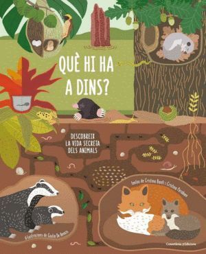 QUE HI HA A DINS