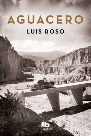 AGUACERO (INSPECTOR TREVEJO 1)