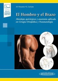 HOMBRO Y EL BRAZO,EL