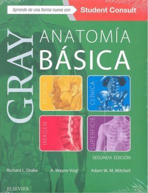 GRAY ANATOMIA BASICA 2º ED