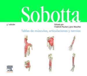 SOBOTTA CUADERNO DE TABLAS MUSCULOS, ARTICULACIONES Y NER