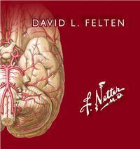 NETTER FLASHCARDS DE NEUROCIENCIA 3ªED