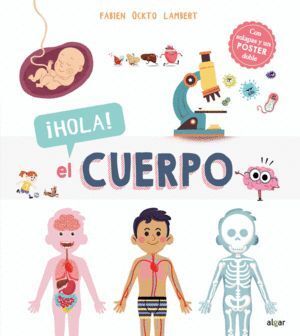 EL CUERPO HUMANO