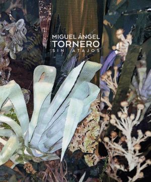 SIN ATAJOS MIGUEL ANGEL TORNERO
