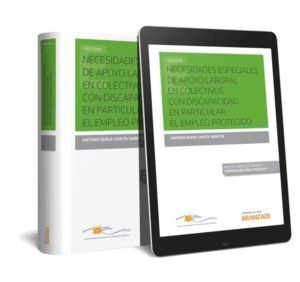 NECESIDADES ESPECIALES DE APOYO LABORAL EN COLECTIVOS CON DI