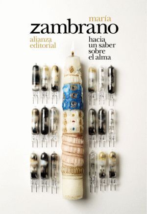 HACIA UN SABER SOBRE EL ALMA