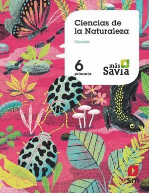 CIENCIAS NATURALEZA 6ºEP CANARIAS 19 MAS SAVIA