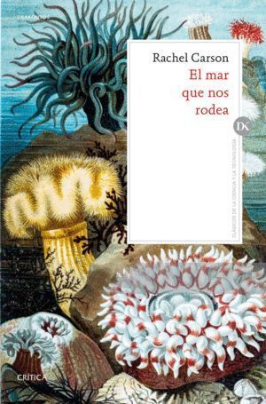 MAR QUE NOS RODEA,EL