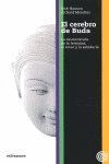 CEREBRO DE BUDA