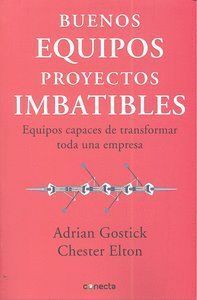 BUENOS EQUIPOS PROYECTOS IMBATIBLES