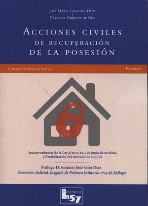 ACCIONES CIVILES DE RECUPERACION DE LA POSESION