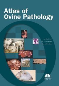 ATLAS OF OVINE PATHOLOGY