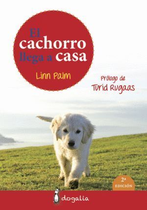 CACHORRO LLEGA A CASA,EL