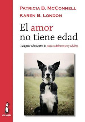 AMOR NO TIENE EDAD,EL