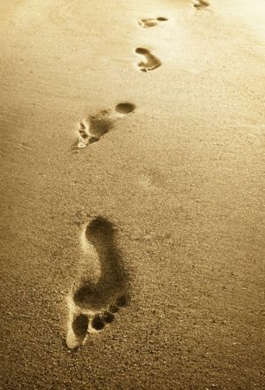 ENIGMA DEL DESIERTO,EL