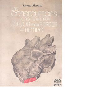 CONSECUENCIAS DE NO ENCONTRAR NADA MEJOR PARA PERDER EL TIEM