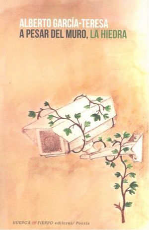 A PESAR DEL MURO LA HIEDRA