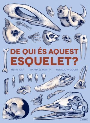 DE QUI ES AQUEST ESQUELET - CAT