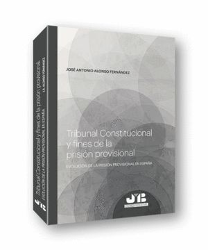 TRIBUNAL CONSTITUCIONAL Y FINES DE LA PRISION PROVISIONAL