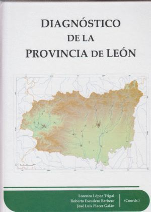 DIAGNOSTICO DE LA PROVINCIA DE LEON