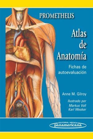 ATLAS DE ANATOMIA  FICHAS DE AUTOEVALUACION