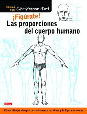 FIGURATE LAS PROPORCIONES DEL CUERPO HUM