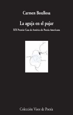 AGUJA EN EL PAJAR,LA