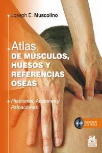 ATLAS DE MUSCULOS HUESOS Y REFERENCIAS OSEAS FIJACIONES ACC
