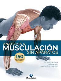 ANATOMIA Y MUSCULACION SIN APARATOS