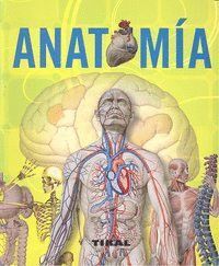 ANATOMIA