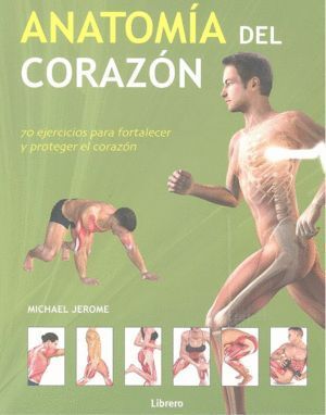 ANATOMIA DEL CORAZON