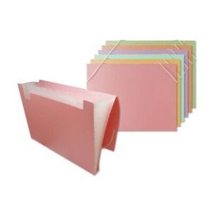 CARPETA CLASIFICADORA A4 12 DEPARTAMENTOS SALMON PASTEL